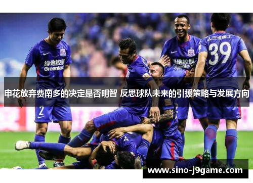 申花放弃费南多的决定是否明智 反思球队未来的引援策略与发展方向