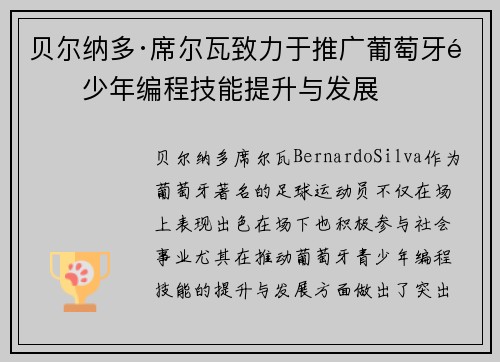 贝尔纳多·席尔瓦致力于推广葡萄牙青少年编程技能提升与发展 贝尔纳多·席尔瓦致力于推广葡萄牙青少年编程技能提升与发展