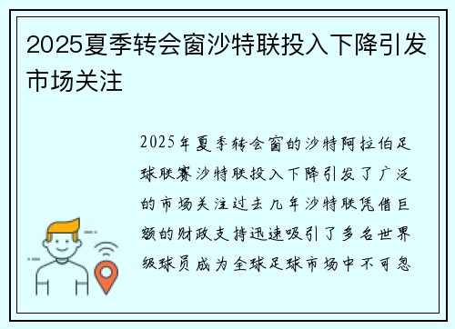 2025夏季转会窗沙特联投入下降引发市场关注 2025夏季转会窗沙特联投入下降引发市场关注